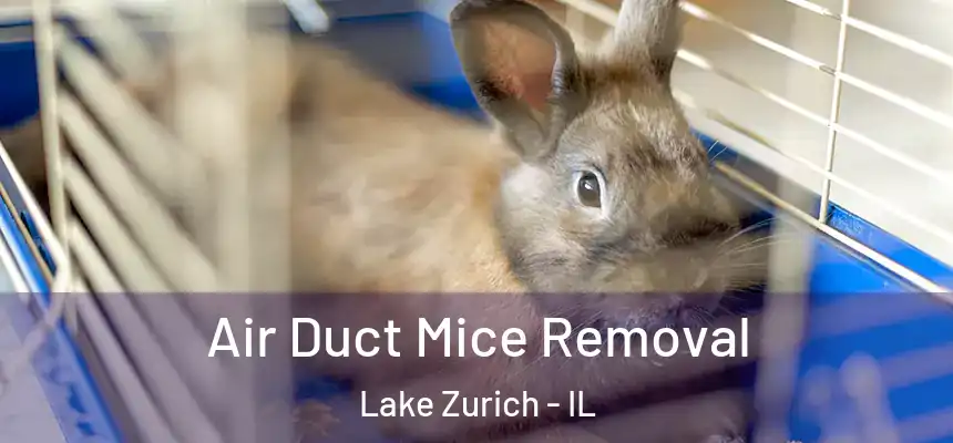  Air Duct Mice Removal Lake Zurich - IL