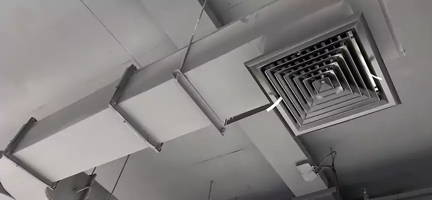 Restorative Allergy Relief Vent Cleaning – Coil, Blower & Housing Detail in Lake Zurich