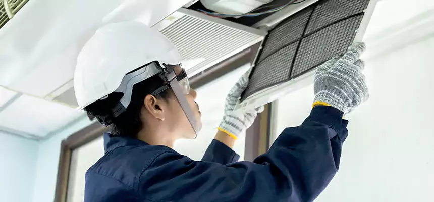 Our Mold & Mildew Removal from Air Ducts Services in Lake Zurich, IL