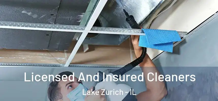  Licensed And Insured Cleaners Lake Zurich - IL