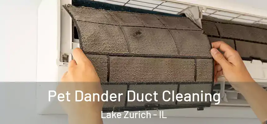 Pet Dander Duct Cleaning Lake Zurich - IL
