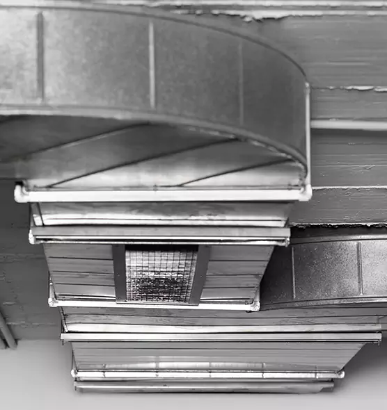 Professional Air Duct Pet Hair Removal in Lake Zurich, IL