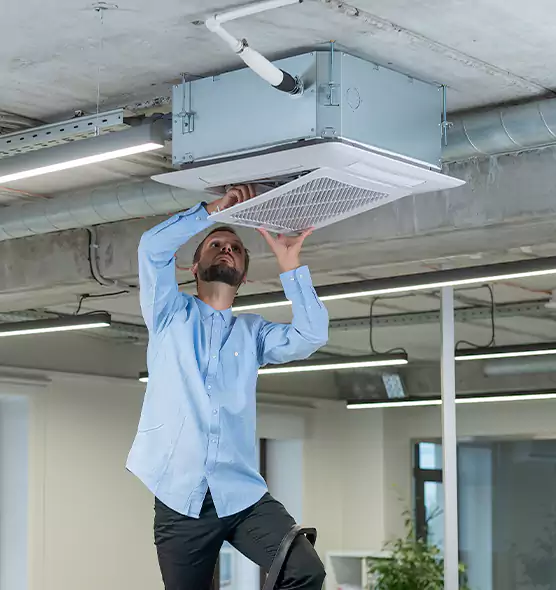 Advanced Rodent Droppings In Vents in Lake Zurich, IL