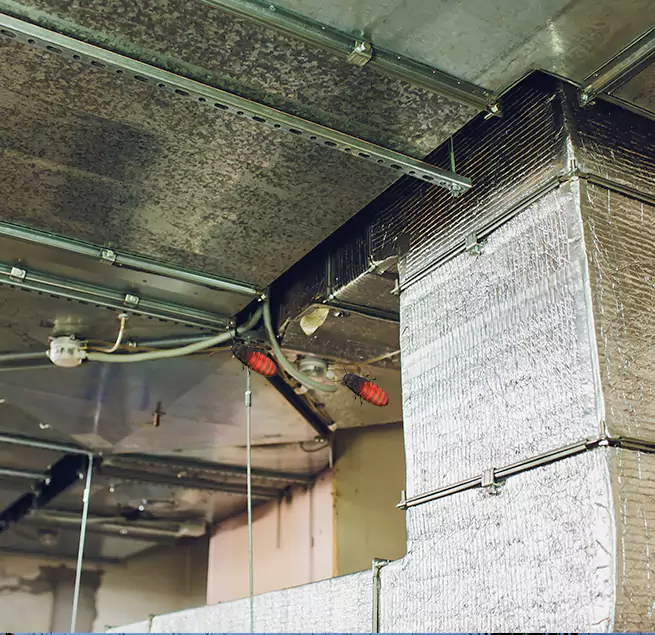 Why Homeowners & Businesses Trust Us in Lake Zurich, IL?