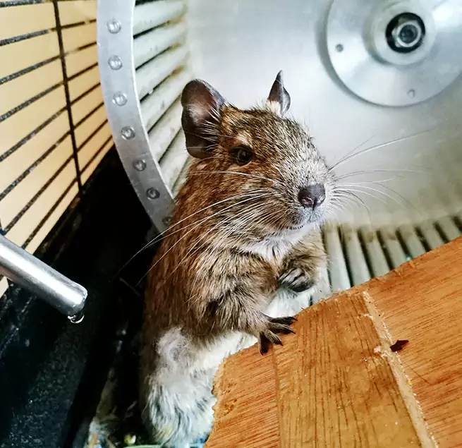 Why Homeowners & Businesses Trust Us Lake Zurich, IL